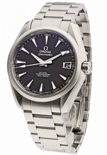 Omega Seamaster Aqua Terra 231.10.39.21.06.001 Mens Watch