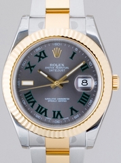 Rolex Datejust Men's 116333GYRO Mens Watch