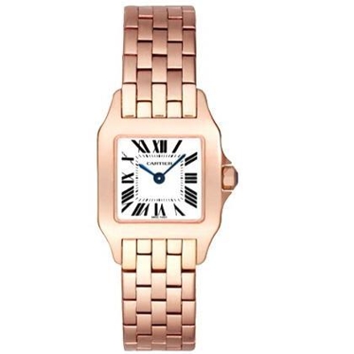 Cartier Santos Demoiselle W25073X9 Ladies Watch