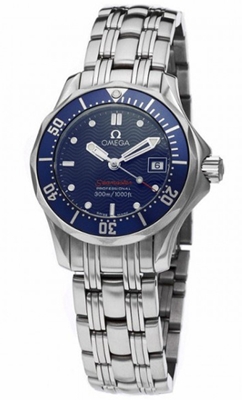 Omega Seamaster 2224.80 Mens Watch