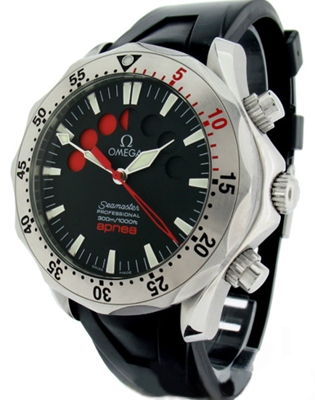 Omega Seamaster 2895.50.91 Mens Watch