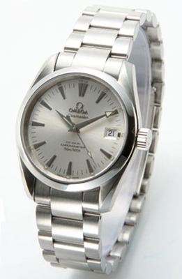 Omega Seamaster Aqua Terra 2504.30 Unisex Watch