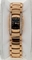 Bvlgari Assioma D AAP26BGD1G Ladies Watch