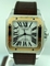 Cartier Santos 100 W20072X7 Mens Watch