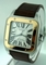 Cartier Santos 100 W20072X7 Mens Watch