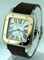 Cartier Santos 100 W20072X7 Mens Watch