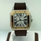 Cartier Santos 100 W20072X7 Mens Watch