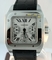 Cartier Santos 100 W20090X8 Mens Watch