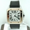 Cartier Santos 100 W20107X7 Midsize Watch