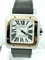 Cartier Santos 100 W20107X7 Midsize Watch
