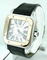 Cartier Santos 100 W20107X7 Midsize Watch