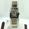 Cartier Santos Demoiselle W25066Z6 Ladies Watch