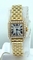 Cartier Santos Demoiselle WF9001Y7 Ladies Watch