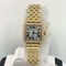 Cartier Santos Demoiselle WF9001Y7 Ladies Watch