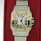 Cartier Santos W20012C4 Ladies Watch