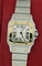 Cartier Santos W20012C4 Ladies Watch