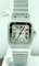 Cartier Santos W20060D6 Mens Watch