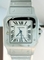 Cartier Santos W20098D6 Mens Watch