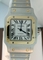 Cartier Santos W20099C4 Mens Watch