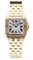 Cartier Santos W25062X9 Mens Watch