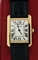 Cartier Tank Solo W1018755 Ladies Watch