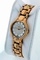 Ebel Beluga 8157421 Ladies Watch