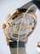 Glashutte PanoMaticTourbillon 93-01-20-05-04 Mens Watch