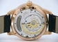 Glashutte PanoMaticTourbillon 93-01-20-05-04 Mens Watch