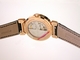 Harry Winston Project Z2 Diver Z200.MASR.R37RL.A Mens Watch