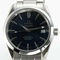 Omega Seamaster Aqua Terra 2504.80.00 Mens Watch