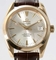 Omega Seamaster Aqua Terra 2604.30.37 Mens Watch