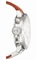 U-Boat Classico 53-CAS-2 Mens Watch