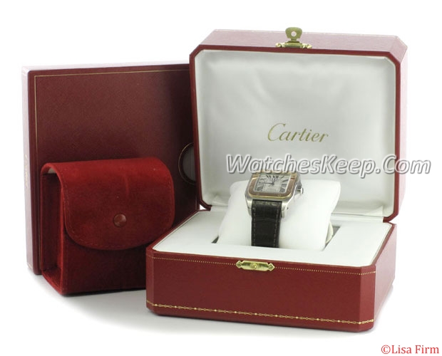 Cartier Santos W20107X7 Mens Watch