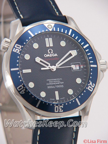 Omega Seamaster 2920.80.91 Mens Watch